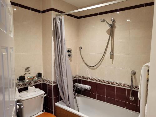 圣奥斯特尔皇家旅馆的带浴缸、卫生间和淋浴的浴室。