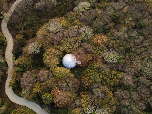 克利夫登Fernwood的享有森林的顶部景色,设有白色圆顶