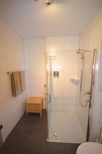 腓特烈港Residenz am Bodensee的带淋浴的浴室和玻璃门