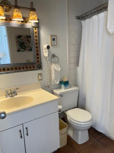 比斯比玫瑰峡谷套房酒店的一间带卫生间、水槽和镜子的浴室