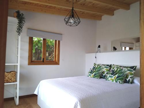 伊科德洛斯维诺斯Los Huertos Conect with the nature & relax的卧室配有白色的床和窗户。