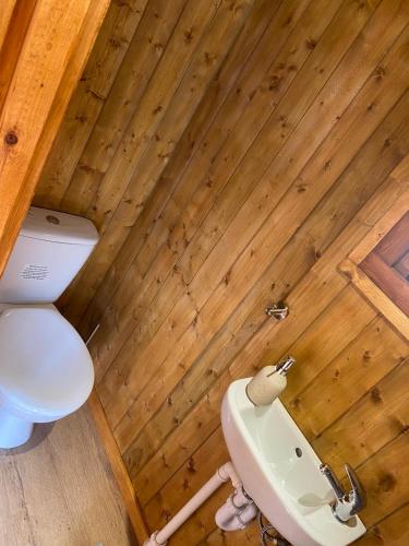 里辛Vale View Glamping的一间带卫生间和水槽的浴室