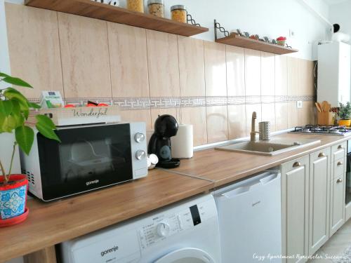 IpoteştiCozy Apartment Narciselor Suceava的厨房配有洗衣机和微波炉。