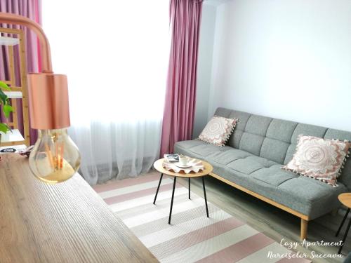 IpoteştiCozy Apartment Narciselor Suceava的客厅配有沙发和桌子