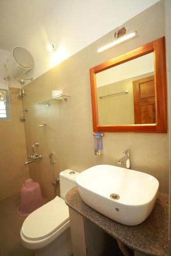 马迪凯里Ayla Homes的一间带水槽、卫生间和镜子的浴室