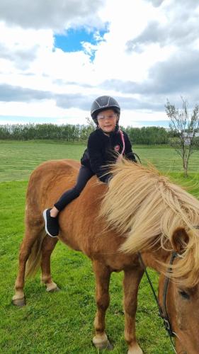 塞尔福斯Efri-Gegnishólar的骑马背上的年轻女孩