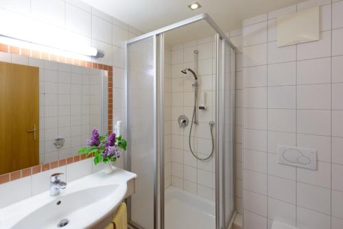 奥伊根多夫嘎斯霍夫祖尔斯特拉斯酒店的带淋浴、盥洗盆和镜子的浴室