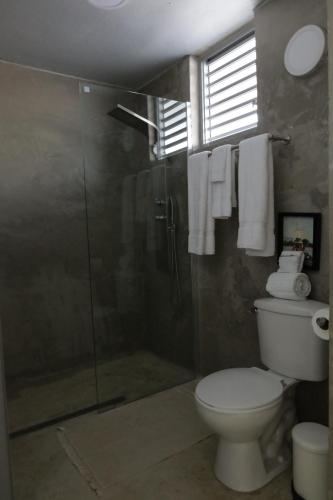多拉多Viento Beach Lodge的带淋浴、卫生间和玻璃淋浴间的浴室