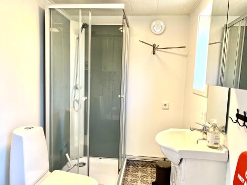 卡尔马Bittes & Lasses Guest House的带淋浴、卫生间和盥洗盆的浴室