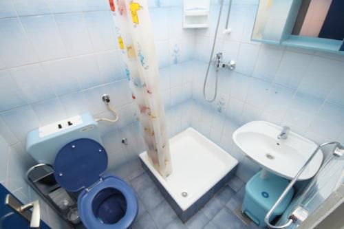 塞利讷Apartments with a parking space Seline, Paklenica - 6629的浴室设有蓝色的卫生间和水槽。
