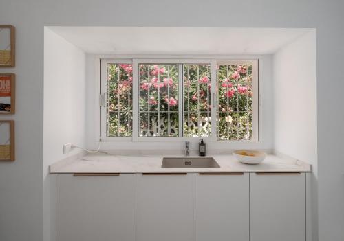 圣罗克San Diego PANORAMIC VIEW 2393的带水槽的厨房和粉红色鲜花的窗户