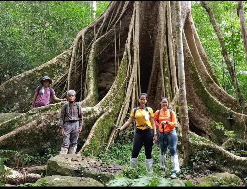 北冲Pakchong hostel & wildlife tour的站在树前的一群人