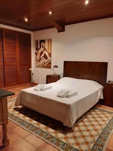 圣地亚哥-杜卡森Monte da Corte by Hi Alentejo的一间卧室配有一张带白色床单的大床