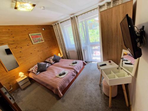 伊沃尼奇-兹德鲁伊Dalia的一间小卧室,配有一张床和电视