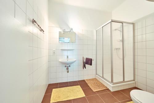 GstatterbodenGesäuse-Lodge的一间带水槽和淋浴的浴室