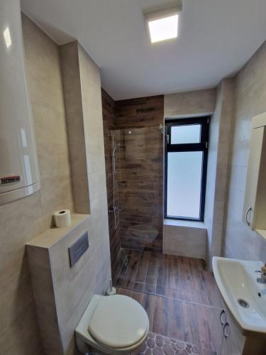 索科矿泉村Nina Apartman 2的浴室配有卫生间、盥洗盆和淋浴。