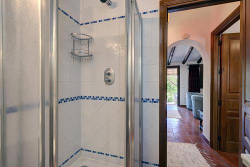 Cañada del Real TesoroFinca del Rio的浴室设有蓝色和白色瓷砖淋浴。