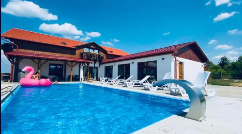 锡尔沃斯瓦里德Gold Horse Vendégház的一座房子,设有一座水中粉红色火烈鸟的游泳池