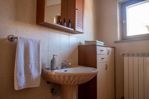 DutovljeApartma Na skdnu的一间带水槽和镜子的浴室