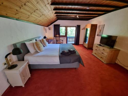 阿尔特纳尔B&B Am Sahrbach的一间卧室配有一张床和一台电视