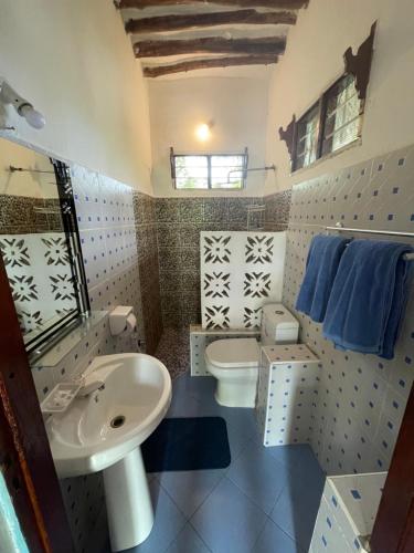 米查维Botanica Eco Lodge的一间带水槽和卫生间的浴室