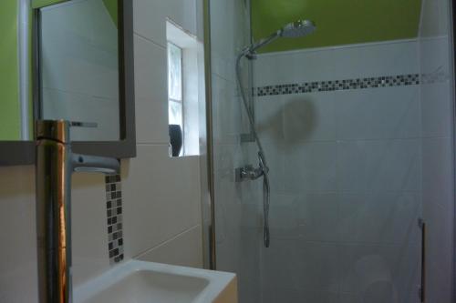 La Membrolle-sur-Choisille舒瓦西尔公寓的带淋浴和盥洗盆的浴室