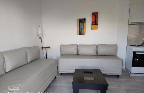 卡塔马卡DUPLEX 3的带沙发和咖啡桌的客厅