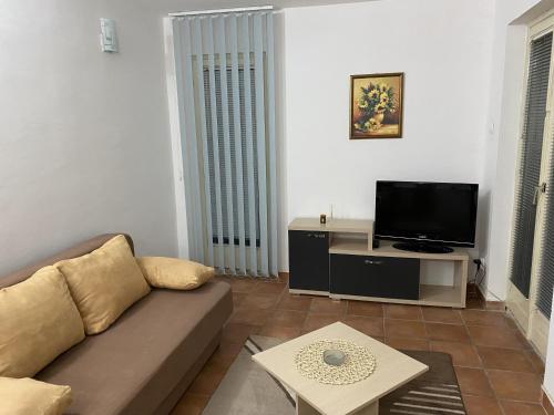 弗尔尼亚奇卡矿泉镇Apartman Vrnjačka Banja的带沙发和平面电视的客厅