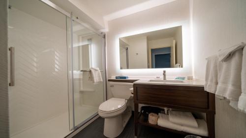 独立市克利夫兰 - 独立城南部假日酒店&度假村的一间带卫生间、水槽和镜子的浴室
