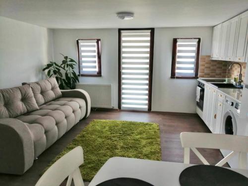 克卢日-纳波卡Lovely loft的带沙发和绿色地毯的客厅