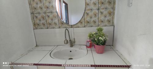 拉瑙PISAAN FARMSTAY Bed & Breakfast的浴室水槽,配有镜子和盆栽植物