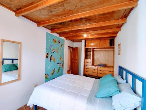 瓦拉斯Casa Tribu的一间卧室配有一张大床和镜子