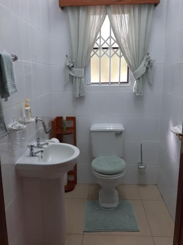 马里兰Kruger Southern Cross的一间带水槽和卫生间的浴室以及窗户。