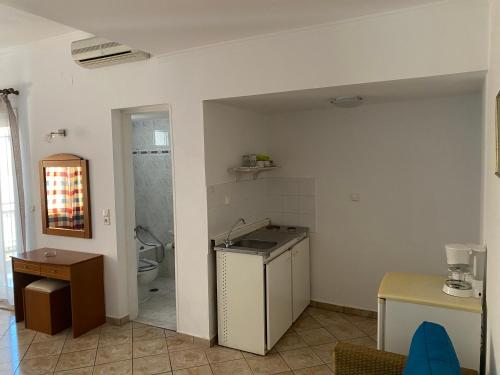 毕达哥利翁Hotel Damo的一间带水槽和卫生间的厨房