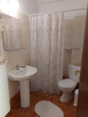 奥吉欧司吉玛洛斯Traditional Guesthouse Vrigiis的浴室配有水槽、卫生间和浴帘