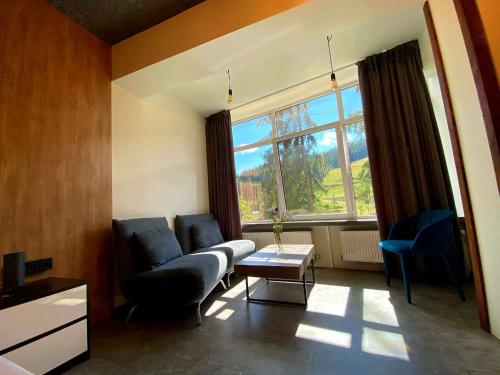 布克维BLUE mountain的带沙发和大窗户的客厅