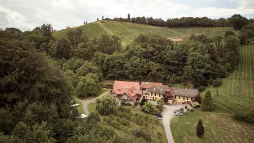 加姆利茨Bio Weingut Matthias Schnabl的葡萄园内房屋的空中景观
