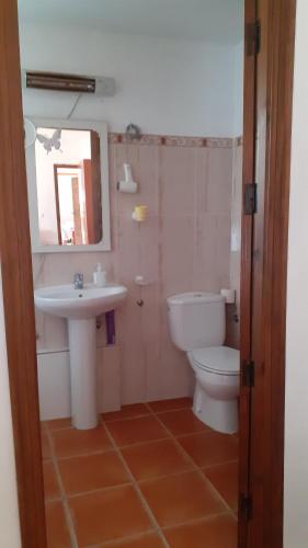 查兹拉德拉谢拉Casa El Azahin的一间带水槽、卫生间和镜子的浴室