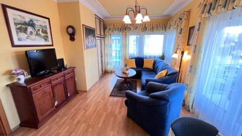 赫维兹Farkas apartman的客厅配有蓝色的沙发和电视