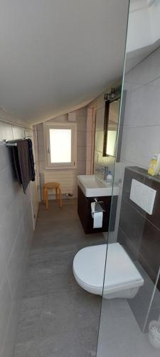维尔德斯韦尔Chalet Sunnmätteli的一间带卫生间和水槽的浴室