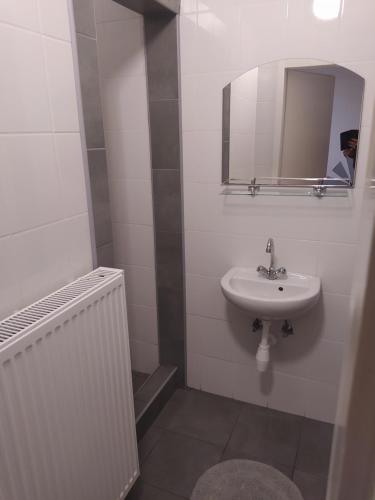 绍尔特沃德凯特Pingpong Apartman的白色的浴室设有水槽和镜子