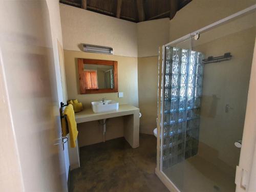 帕拉博鲁瓦Masorini Bush Lodge的一间带水槽、镜子和淋浴的浴室