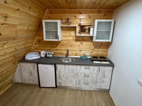 克尔茨什瓦拉乡Liniștea Muntilor的小屋内的小厨房配有水槽