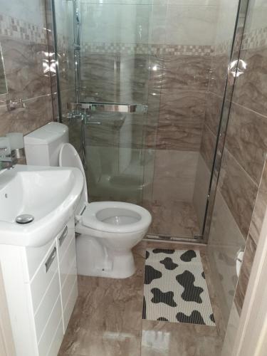 大格拉迪什泰Apartman tipa studio BMB的带淋浴、卫生间和盥洗盆的浴室