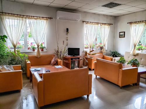 萨莫科夫Forest Sunrise的带沙发、桌子和窗户的等候室
