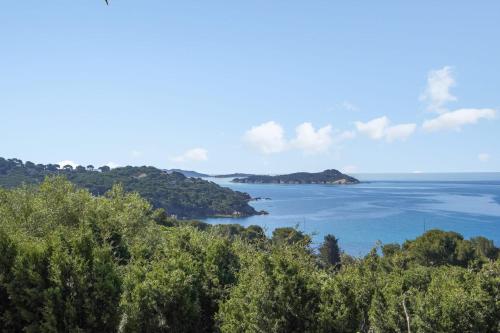 耶尔Superb apartment with loggia and view on the sea - Hyères - Welkeys的水体中间的一个岛屿