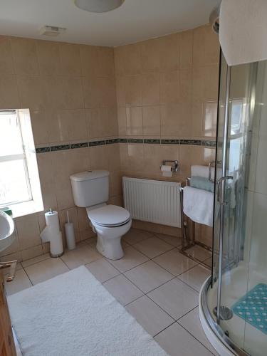 KilmacthomasKents guesthouse accommodation的浴室配有卫生间、盥洗盆和淋浴。
