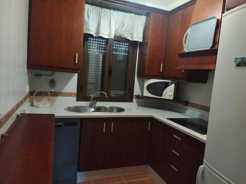 卢克Casa Rural Alamillo的厨房配有木制橱柜、水槽和微波炉