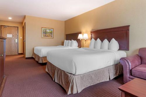 弗雷德里克顿弗雷德里克顿贝斯特韦斯特套房酒店 的酒店客房,设有两张床和一张沙发