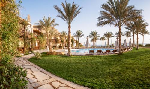 达哈布达哈卜天堂酒店的一个带游泳池和棕榈树的度假庭院